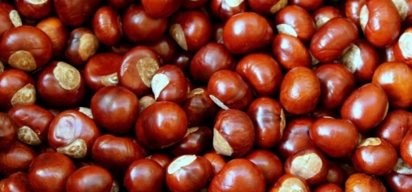 Абҵарамза 15 рзы Аҟәа ақалақь аҿы ахьа Амш азгәарҭоит.