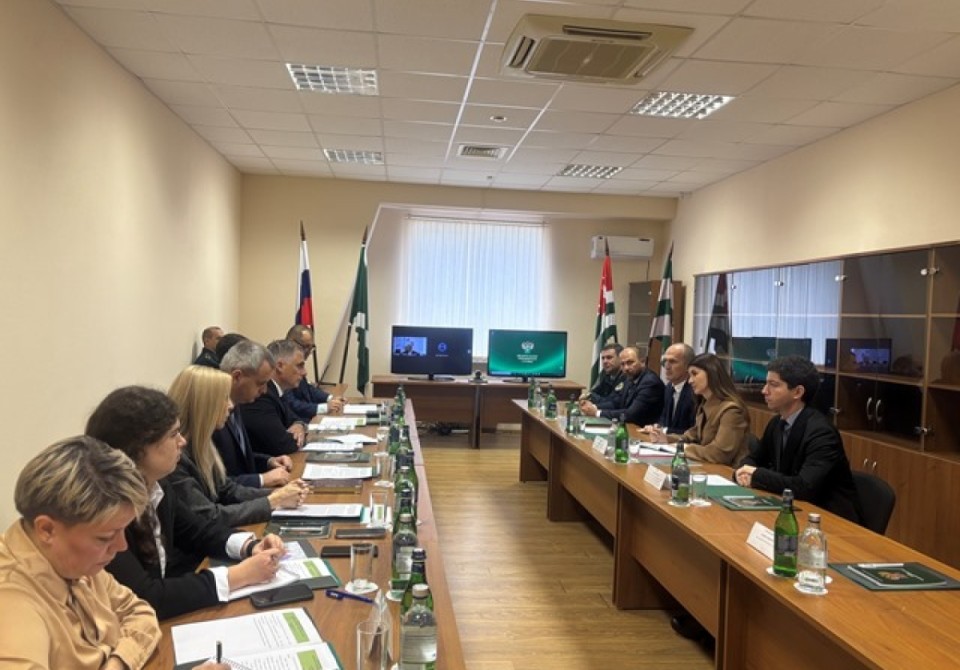 Таможенные службы России и Абхазии обсудили вопросы сотрудничества