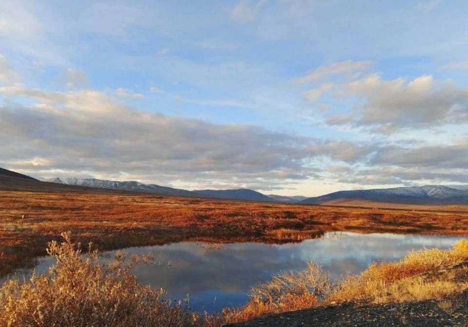 Фонд «АТР АЭС» назвал финалистов конкурсного отбора IX Международного проекта «Территория успеха: в объятиях природы»