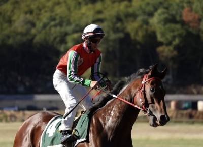 Ихраҿа агаразы аҽыбӷаҟазаратә еицлабрақәа мҩаԥысуеит жьҭаарамза 4 рзы Бзыԥтәи аипподром аҿы.