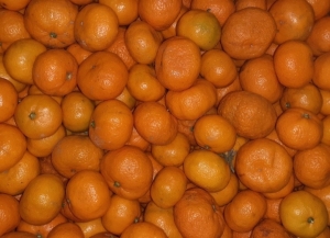 Более 23,5 тонны мандаринов вывезено из Абхазии с начала цитрусового сезона