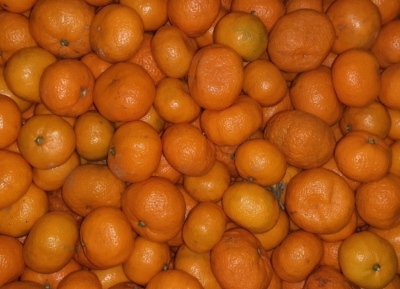 Более 23,5 тонны мандаринов вывезено из Абхазии с начала цитрусового сезона