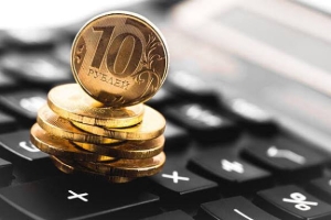 Более 2,5 млрд рублей налогов поступило в бюджет страны за шесть месяцев 2025 г.