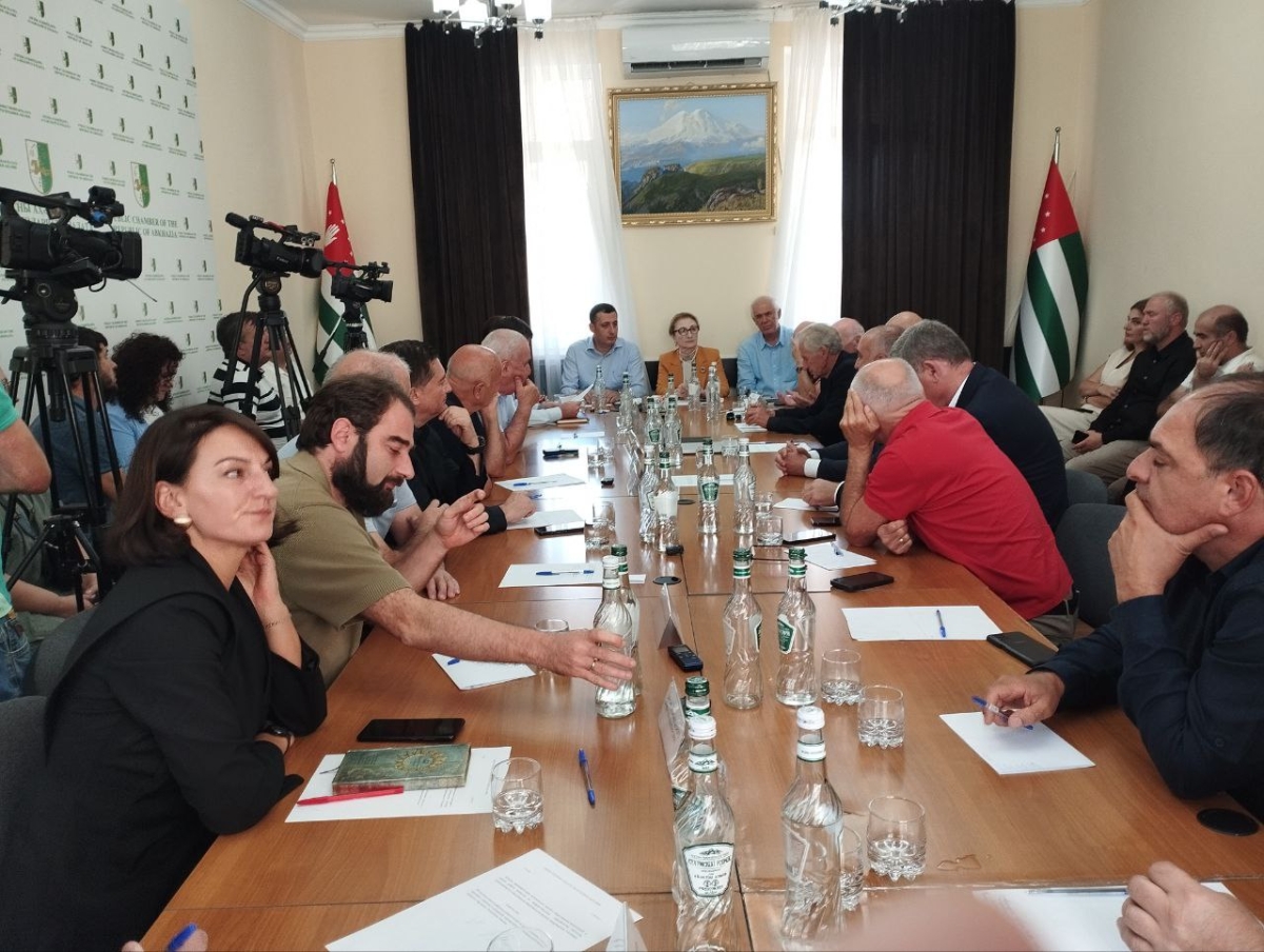 Политические партии и Общественная палата Абхазии выступают за смешанную систему парламентских выборов