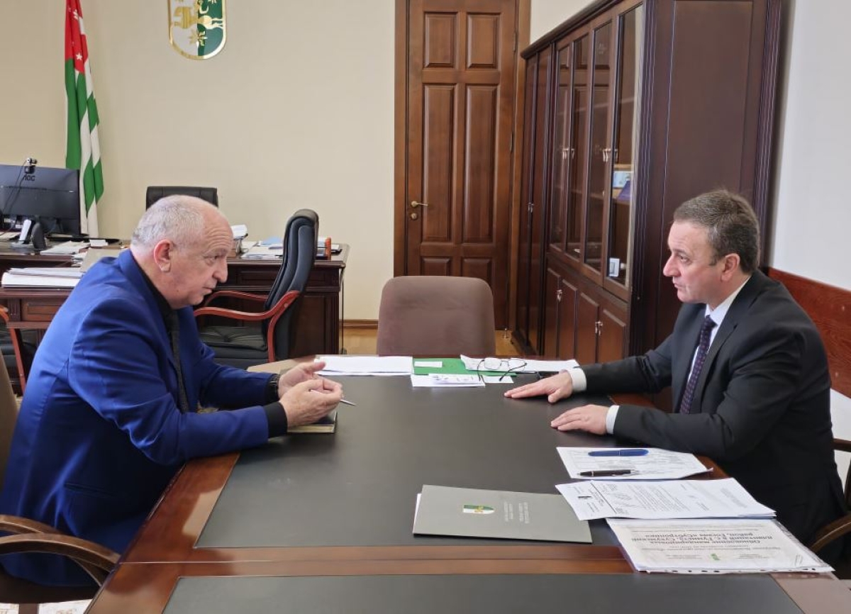 Владимир Делба провёл рабочую встречу со Львом Квициния