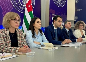 Принципы работы с неправительственными организациями обсудили в МИД Абхазии
