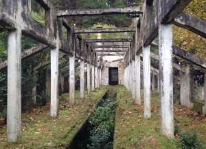 В Гагре приступили к археолого-эксгумационным раскопкам