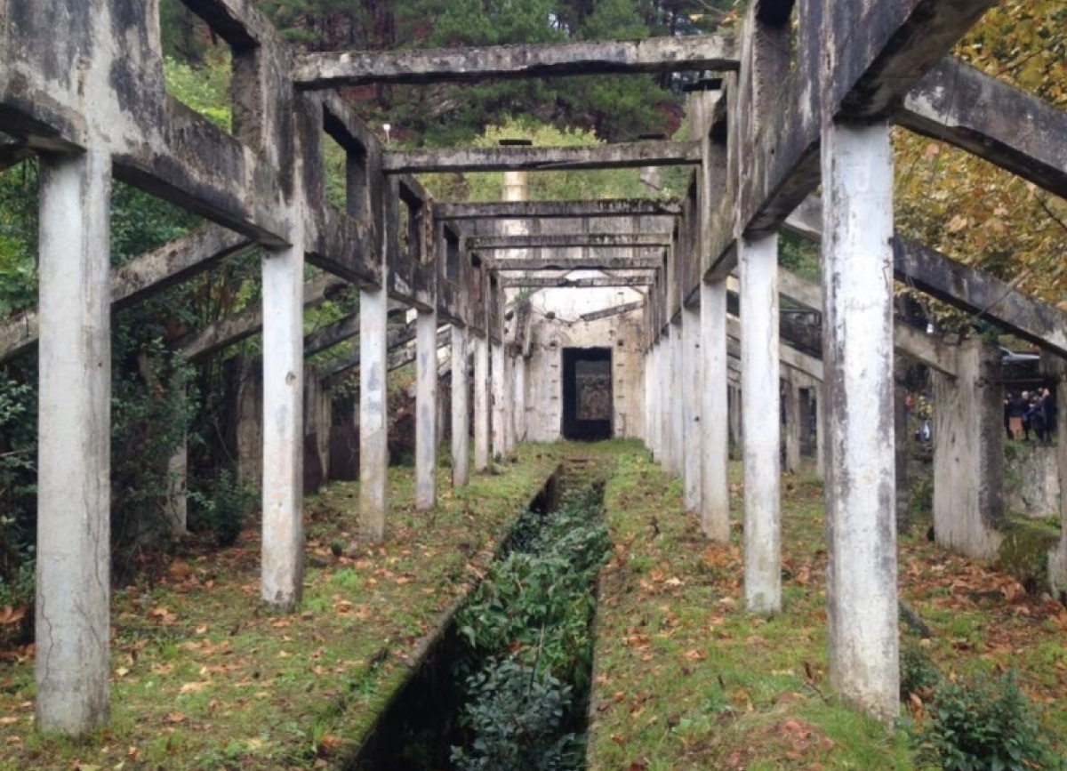 В Гагре приступили к археолого-эксгумационным раскопкам