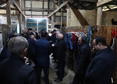 Президент Бадра Гунба поддерживает сохранение традиций коневодства в Абхазии