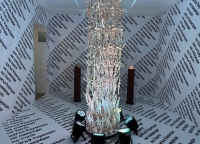 Выставка No harm художниц Апщи Хагба и Дианы Хинтба открылась в Сухуме