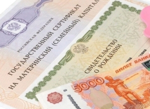 Оппозиция предлагает провести консультации с российскими структурами по поводу социальных выплат