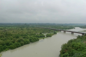 Аберқыҭ (анкьа Папынрхәа) ацҳа ҿыц хырҵоит.