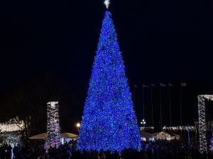 Аҟәа ақалақь, Ахақәиҭра ашҭаҿы ашықәсҿыцазтәи аԥсаӡ хада аартра иазкыз аныҳәатә усмҩаԥгатә мҩаԥысит.