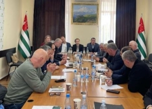 Общественная палата презентовала проект конституционной реформы