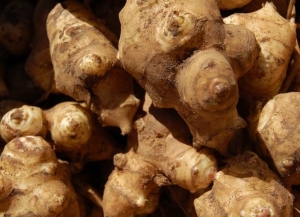 Топинамбур и ягоды: новые ниши для инвестиций в сельское хозяйство Абхазии