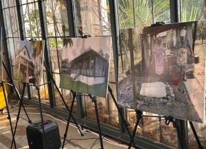 День каштана в четвертый раз отмечают в Сухуме