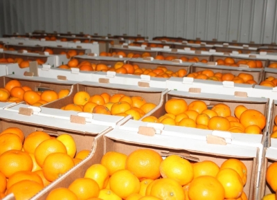 Гәылрыԥшь араион Ахадара Иҷыдоу Аимбашьратә Операциа иалаху рзы агуманитартә еидара адәықәҵара еиҿнакааит.