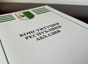 Общественная палата подготовила заключение по концепции конституционно-правовой реформы политической системы власти Абхазии