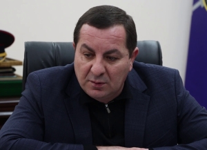 МВД усиливает борьбу с незаконной рубкой хвойных деревьев и продажей пиротехники