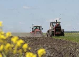 Главный агроном Теваз Ачба: по четырем основным направлениям будет вестись поддержка сельского хозяйства в 2026 году