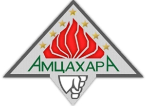 Партия «Амцахара»: разделяем тревогу и опасения главы внешнеполитического ведомства Инала Ардзинба
