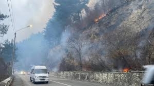  ДЕЛИБАЛТЯН: ЧЕЛОВЕЧЕСКИЙ ФАКТОР  - ОСНОВНАЯ ПРИЧИНА ЛЕСНЫХ ПОЖАРОВ