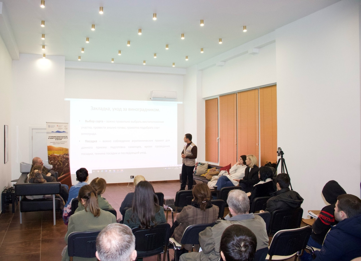 В Сухуме провели практикум по сохранению эндемичных сортов винограда