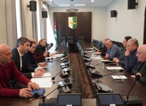 Вопросы социальной интеграции репатриантов обсудили в Парламенте