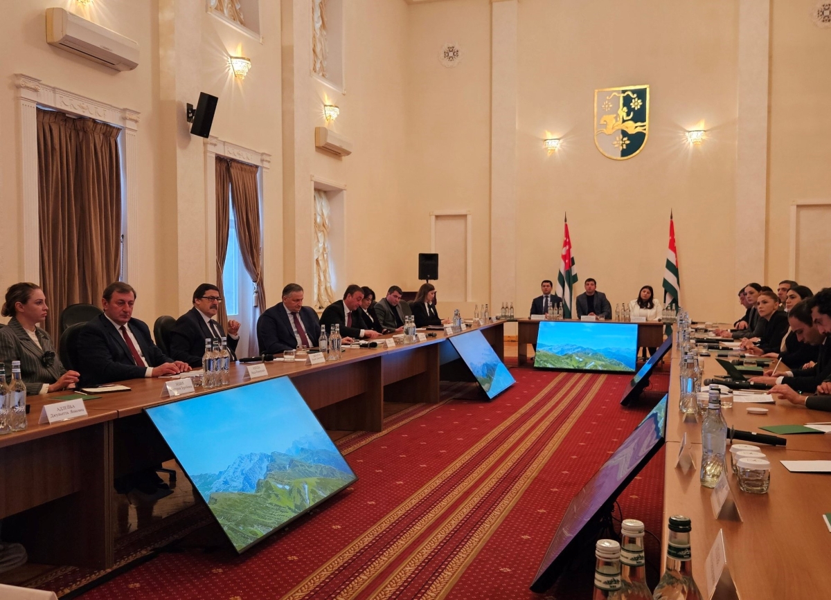 Интеграция науки в госуправление Абхазии: итоги круглого стола