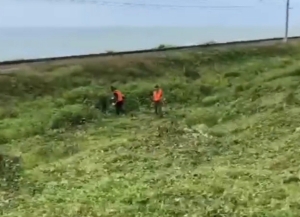 Бригады АЖД расчищают железнодорожные пути на участке Сухум - Псоу