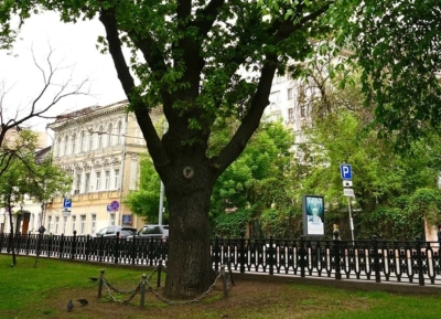 Стихи Пушкина прозвучали на Красной площади на 32-х языках