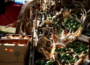 Гастрофестиваль «Вкус осени – фейхоа» проходит в Сухуме