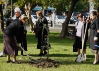Аллею памяти пропавших без вести заложили в Парке Славы