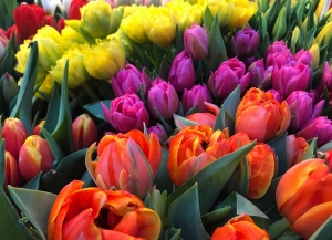 Спикер Парламента Лаша Ашуба поздравил всех женщин Абхазии с Международным женским днём