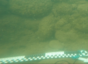 Урыстәылатәии аԥснытәи аҵарауаа Аҟәатәи ашыцәа иахьаҵанакуа аӡы зқәылаз аурымтәи ақалақь ҭырҵаауеит.