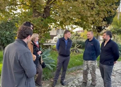 Выездная комиссия столичной администрации проводит осмотр состояния деревьев в Сухуме