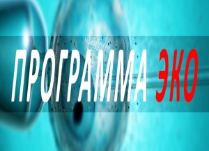 Кабмин утвердил программу лечения бесплодия методом ЭКО