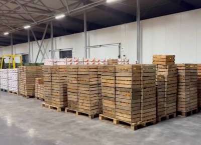 В Абхазской цитрусовой компании установят новое оборудование в 2026 г.