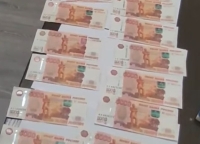 По горячим следам раскрыта кража в Гагрском парке