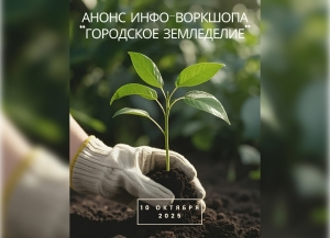 Проектный офис ФАО проведет в Сухуме воркшоп &quot;Городское замледелие&quot;