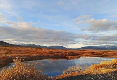 Фонд «АТР АЭС» назвал финалистов конкурсного отбора IX Международного проекта «Территория успеха: в объятиях природы»