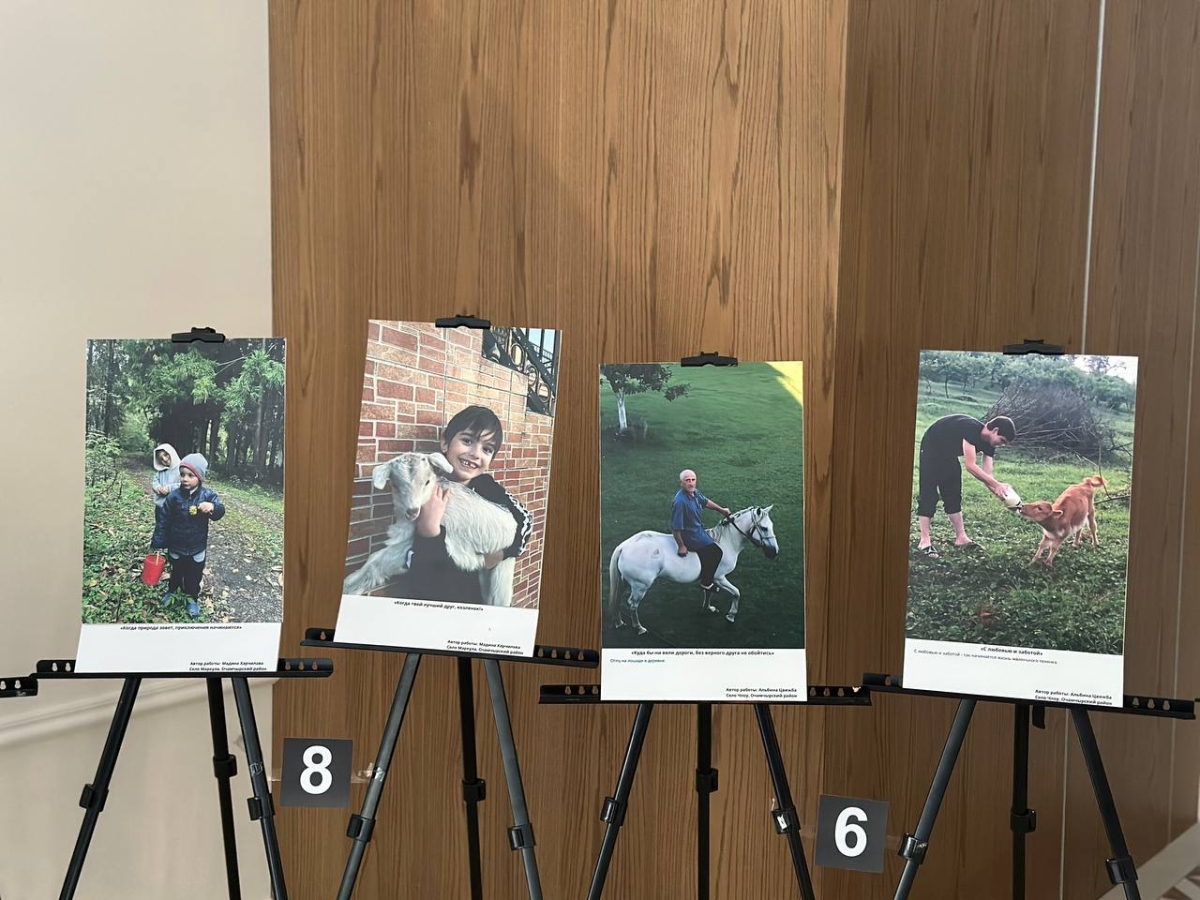 В сухумском центре «Проспект» подвели итоги фотоконкурса «Сельское хозяйство глазами молодежи»