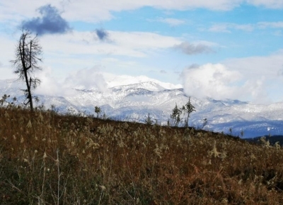 Специалисты «РосАгрохимслужбы» впервые провели обследование земель в Абхазии