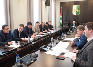 Имҩаԥысит аҳәынҭқарра-зинтә политиказы апарламенттә еилакы аилатәара