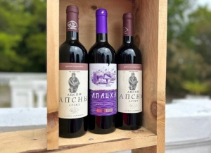 Абхазия входит в десятку крупных поставщиков вин в Россию   