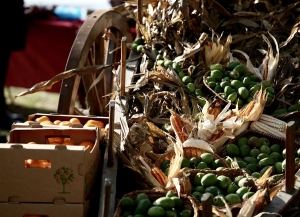 Агастрофестиваль «Ҭагалан агьама: Афеихоа» аҟәатәи амшын аԥшаҳәаҿы иаатит.