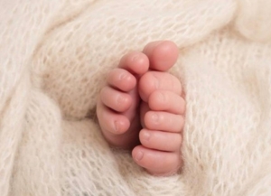 2026 - тәи Ашықәс ҿыц ауха Аԥсны раԥхьатәи аҵеи диит.