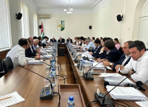 Инвестпроект по Сухумскому аэропорту будет осуществляться в форме государственно-частного партнерства   
