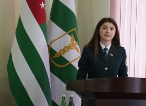 Анана Гогохия: система таможенного регулирования функционирует стабильно