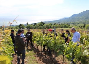 В Сухуме прошли тренинги по виноградарству   